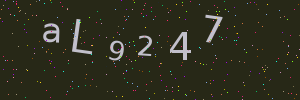 Validation image