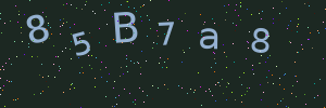 Validation image