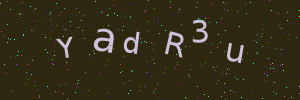 Validation image