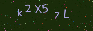 Validation image