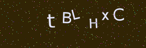 Validation image